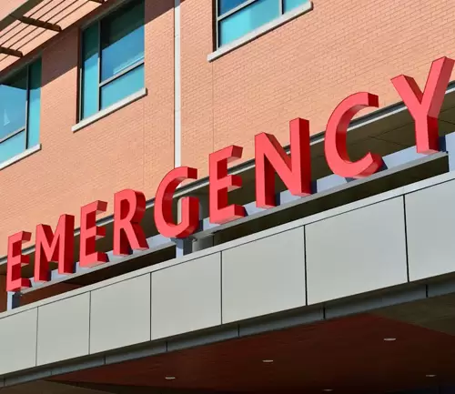 Bilingual Emergency & OPD Wayfinding Directory